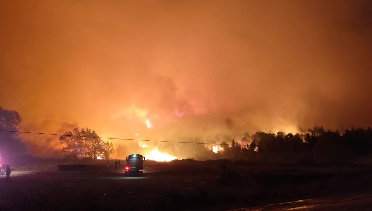 bursada orman yangini yerlesim yerlerine ilerliyor g4QhEvQ6