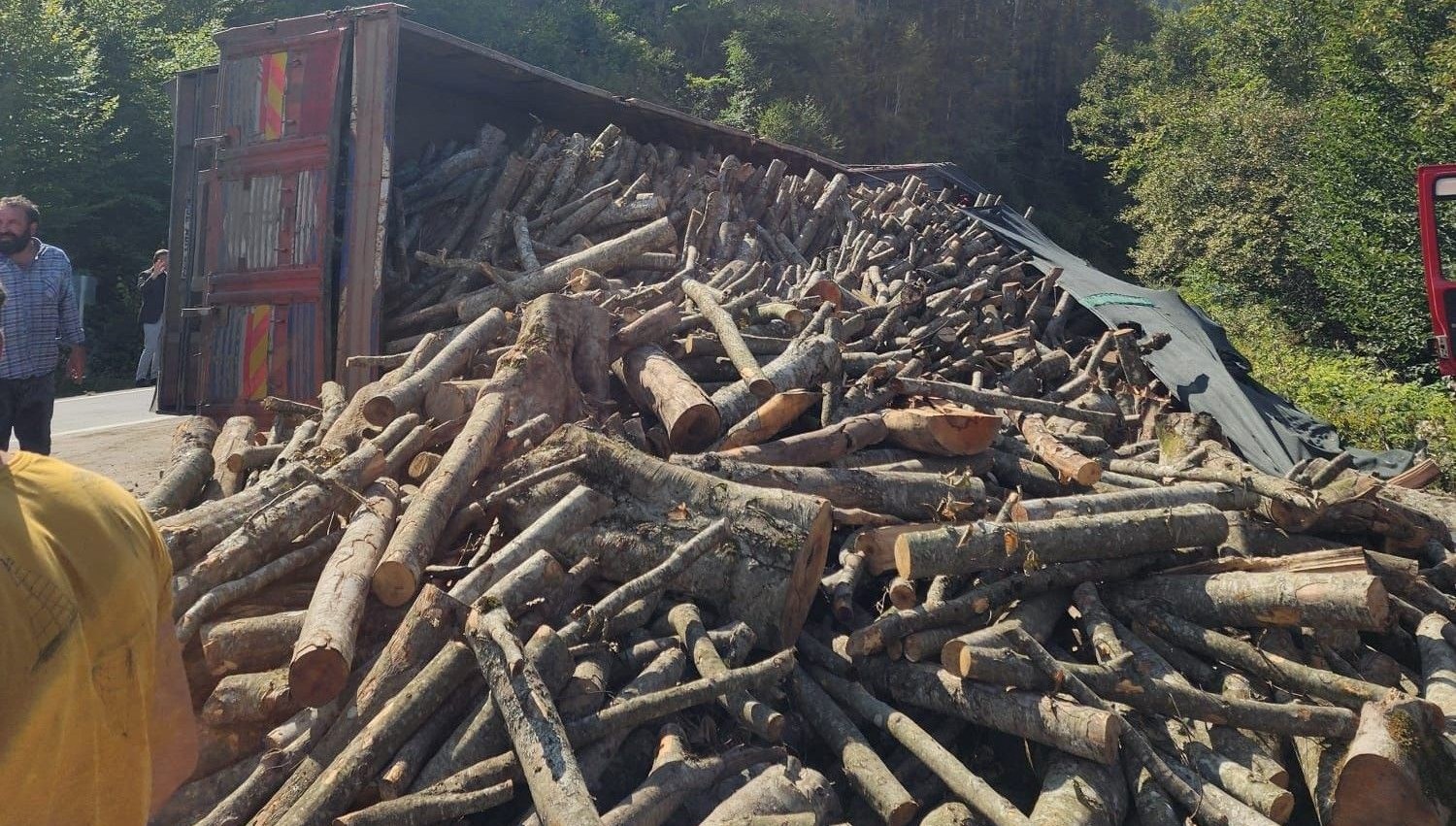 viraji donemeyenkamyon devrildi 21 ton tomruk yola sacildi Q8QVAMYb