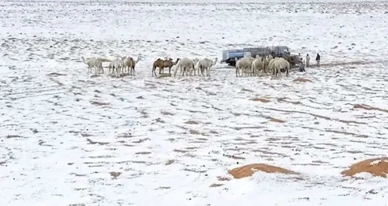 Suudi Arabistan’da Çöl Manzarası Kışa Dönüştü: Şaşırtıcı Hava Olayı