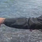 testilerle-tasinan-akdeniz-suyu-egeye-bosaltildi-GjryFfEW
