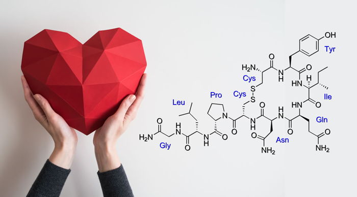 Oksitosin Hormonunun Rolü ve Önemi Üzerine Bilgiler
