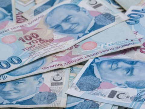 Sindirim Sistemi: İşleyişi ve Temel Bileşenleri