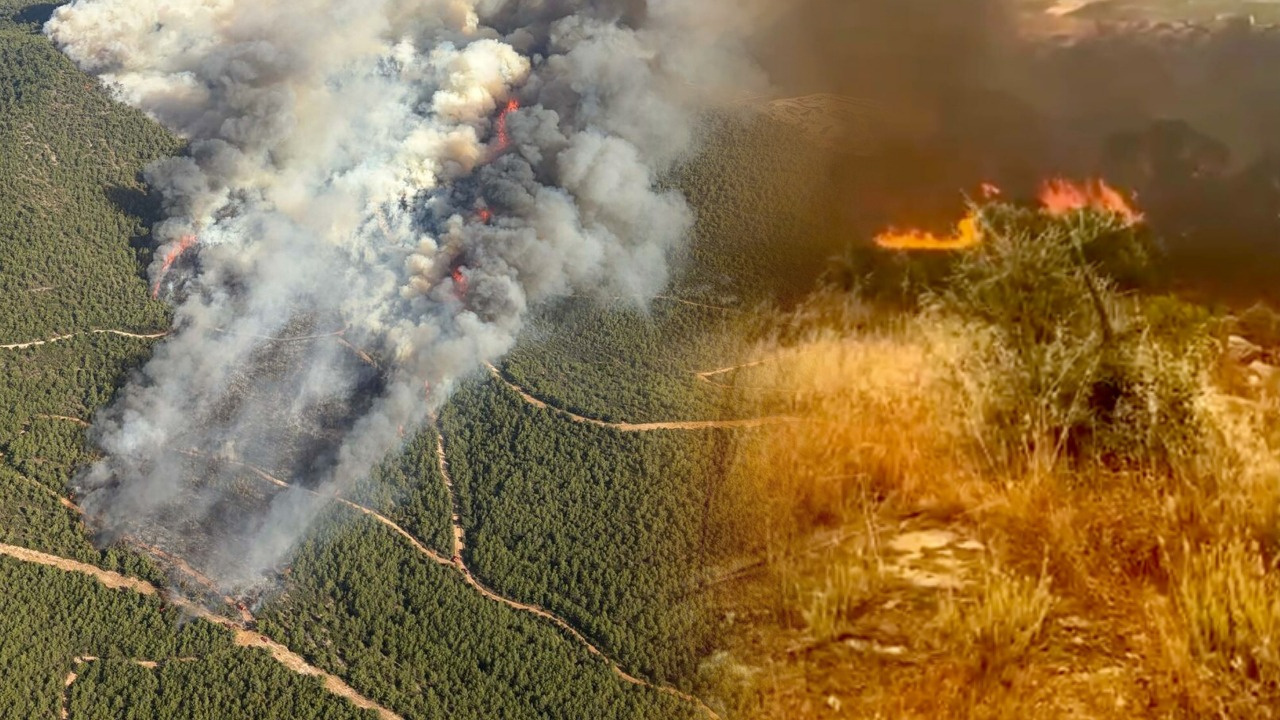 Muglada pes pese orman yanginlari biri sonmeden digeri basladi 7BSCEFAa